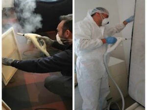 Exterminateur Punaises de Lit Rats Cafards Puces Nid de Frelons / URGENCE 3D /Cannes Nice Grasse Antibes