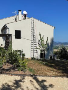 VNS Intervention Nids Guêpes, Frelons Asiatiques, Chenilles Processionnaires
