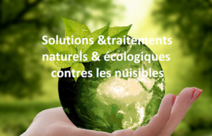 NUISIBLE Ô
