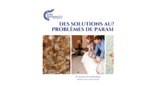 Easy Services Est: Dératisation/désinsectisation punaise de lit/Destruction Guêpes-Frelons/traitement bois et merule