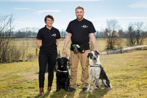 PK détection canine et conventionnelle mérule