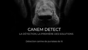 CANEM DETECT LYON & GRENOBLE – Détection Canine de Punaises de Lit