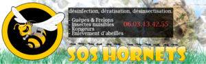 SOS Hornets Destruction-de-Nid, Frelons, Guêpes, Moustiques, Fourmis, Cafard, chenille, mites…