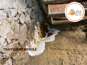 SAPA 46 – Traitement Bois Termites
