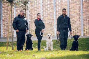 ASDC – Détection Canine de punaises de lit